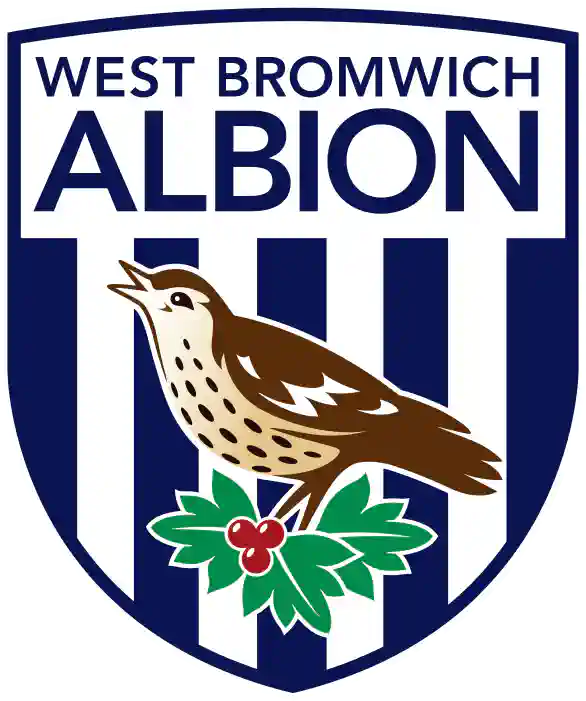 West Bromwich Albion football matches