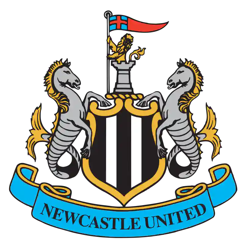 Newcastle football matches